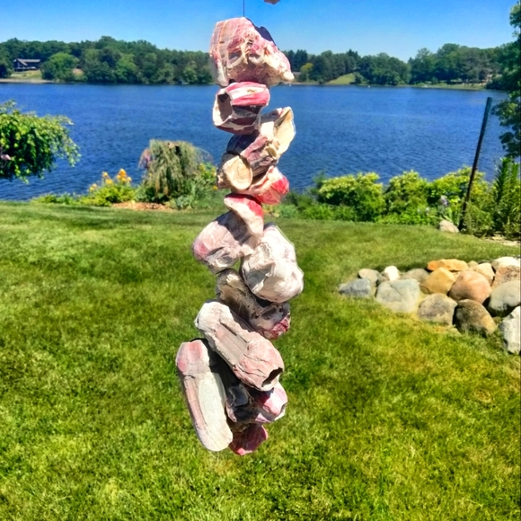 Shell decor Barnacle cluster art. Beach art - Picture 10 of 15